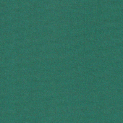 POLYESTER WET LOOK(GREEN)